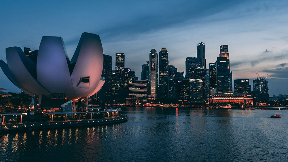 register business singapore, how to register a company in singapore