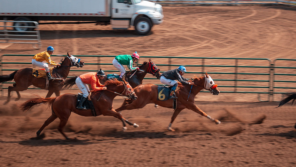 competitor analysis, competitive analysis