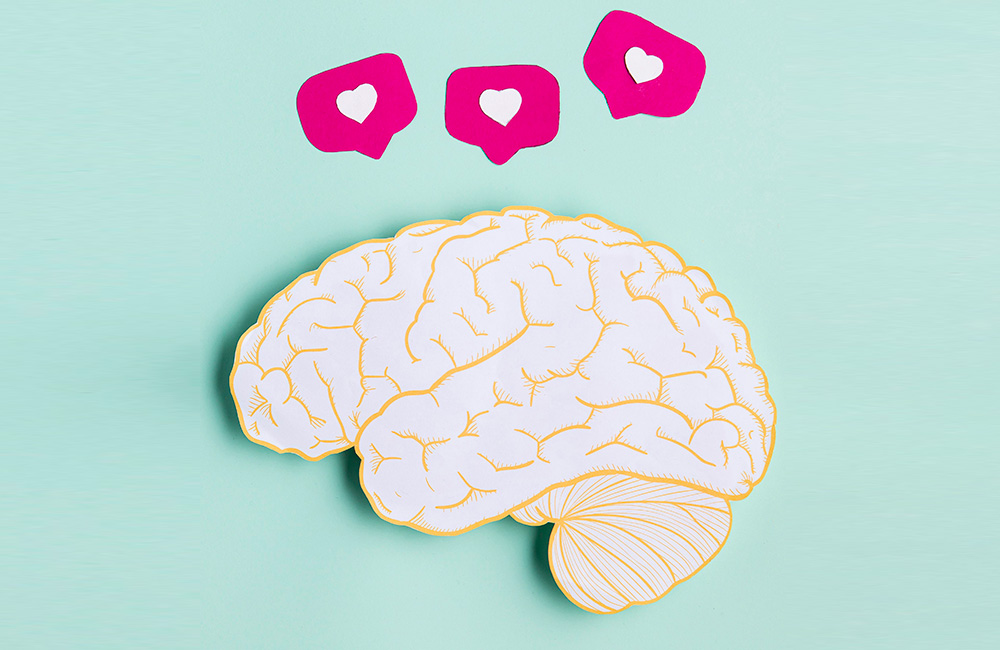 bizfile (psychographic)