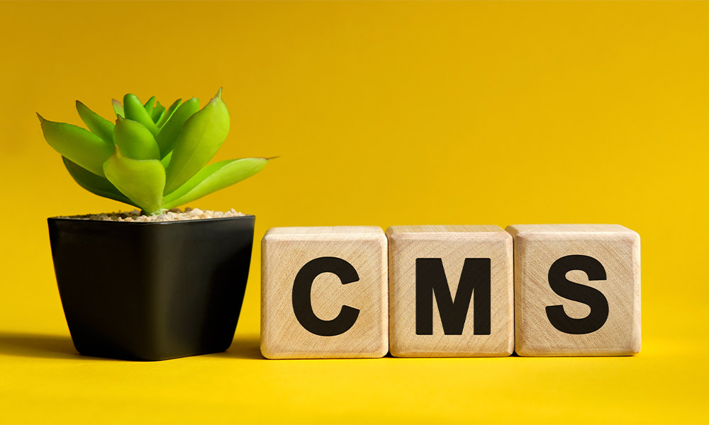 content management system (importance of content management system)