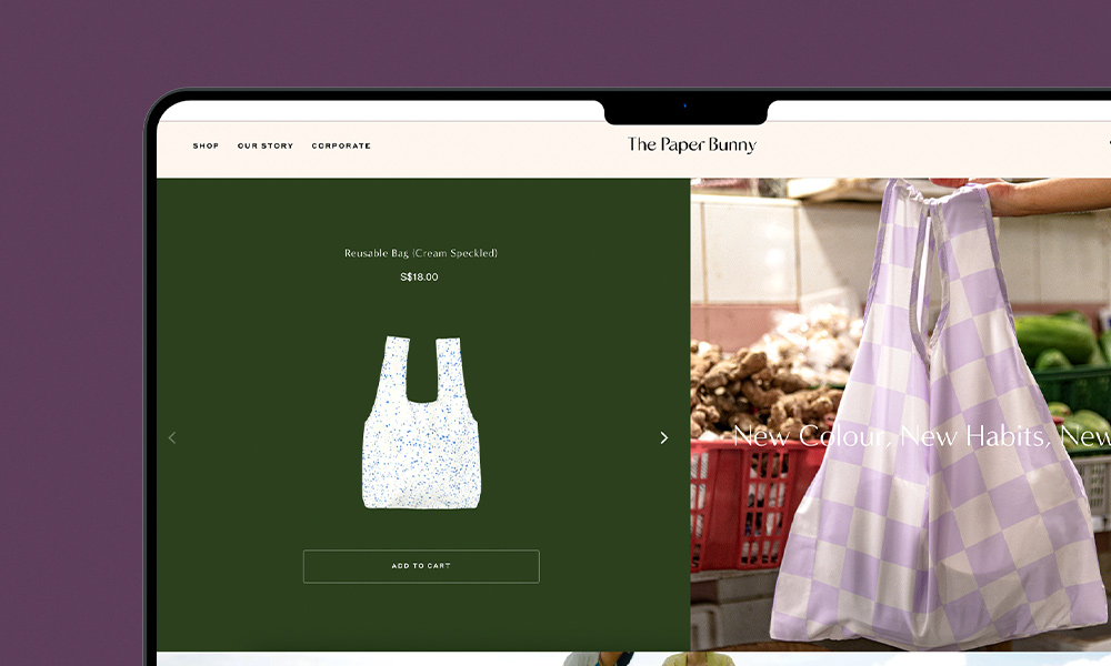landing page (CTA) , landing page website (optimization)
