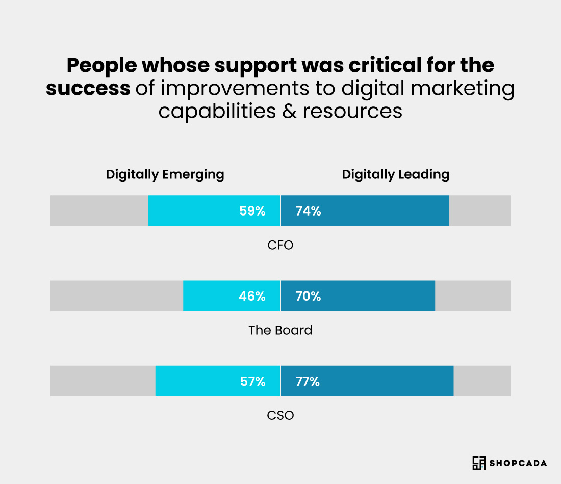 digital transformation (digitally emerging)