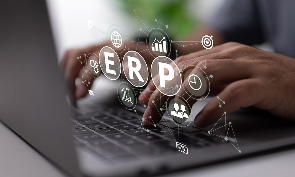 erp ecommerce integration (ERP solution)
