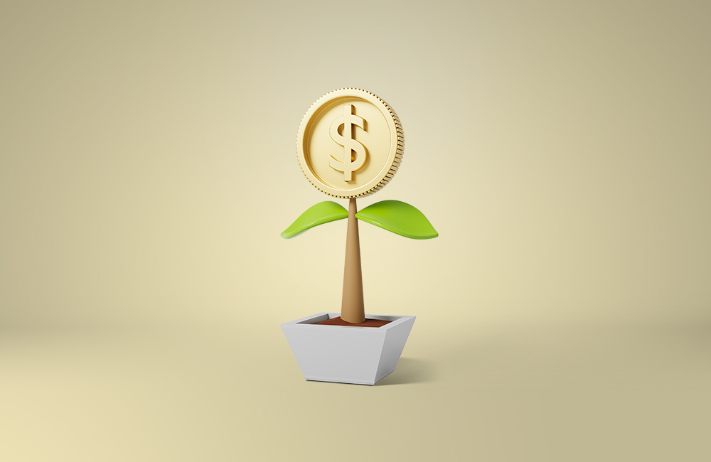 digital advertising (generate revenue)