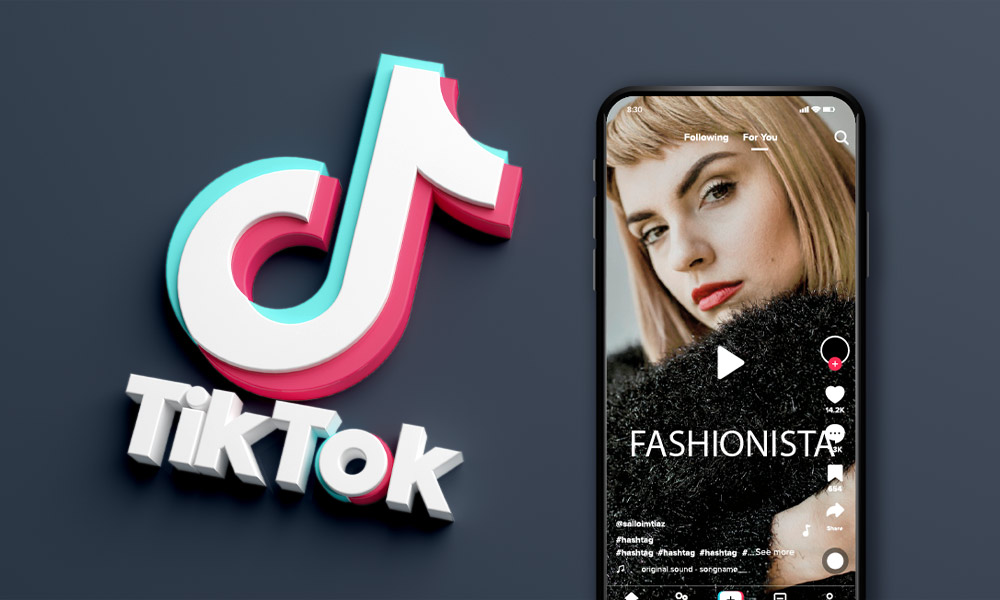 tik tok ecommerce (tik tok promotion campaign)
