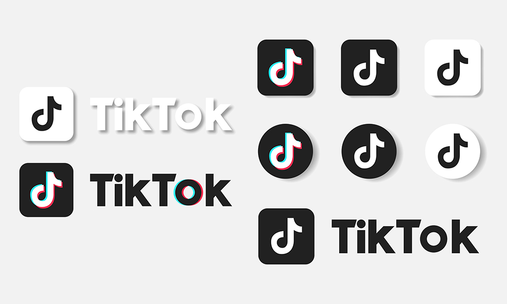tik tok ecommerce (tik tok brand guide)