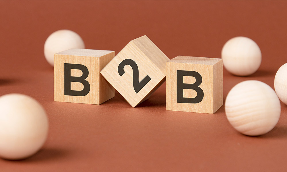 erp ecommerce integration (B2B ecommerce)